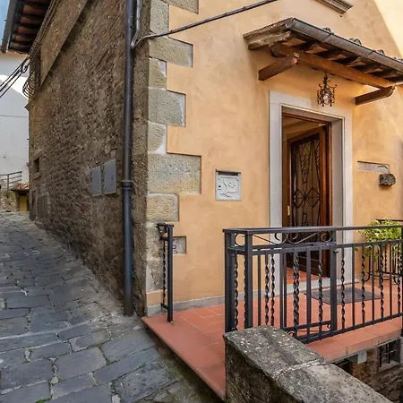 Panoramic Масса