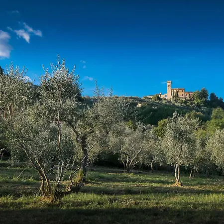 Panoramic * Massa (Tuscany)