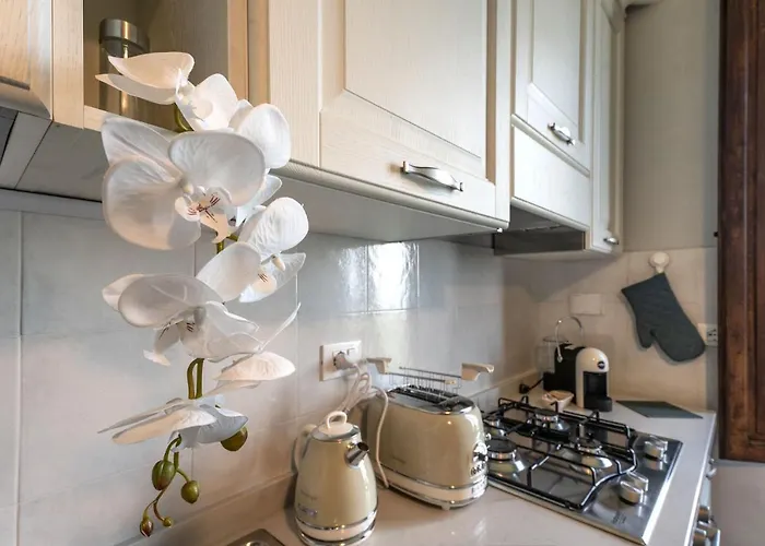 Panoramic Daire Massa (Tuscany)